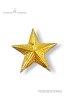 COLLOR PIN B-CP-SG-UW-PIN-166-STAR